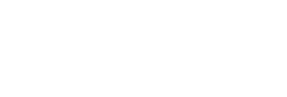 logo saint vincent białe